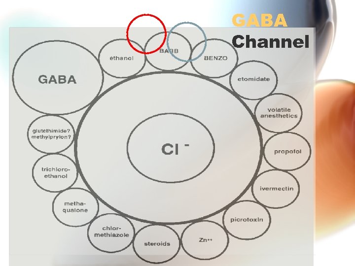 GABA Channel 