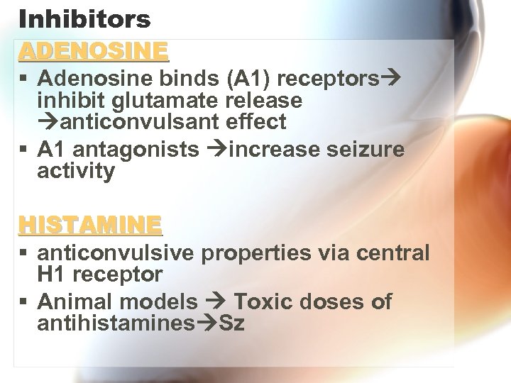 Inhibitors ADENOSINE § Adenosine binds (A 1) receptors inhibit glutamate release anticonvulsant effect §