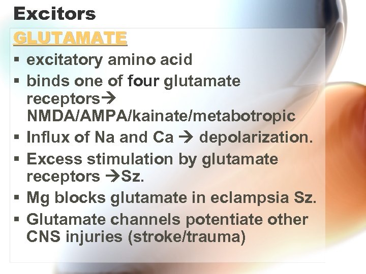 Excitors GLUTAMATE § excitatory amino acid § binds one of four glutamate receptors NMDA/AMPA/kainate/metabotropic