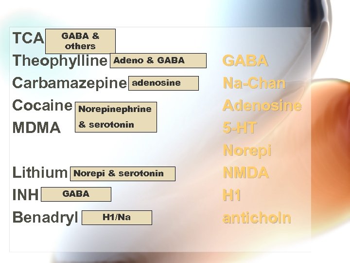 TCA GABA & others Theophylline Adeno & GABA Carbamazepine adenosine Cocaine Norepinephrine MDMA &
