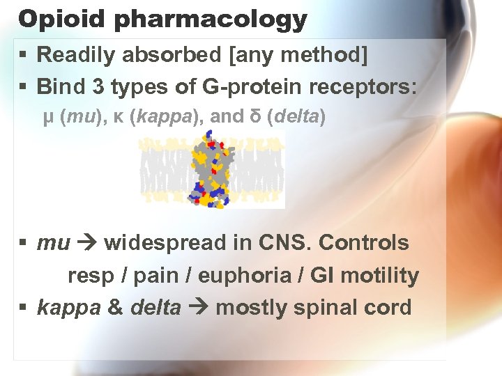 Opioid pharmacology § Readily absorbed [any method] § Bind 3 types of G-protein receptors:
