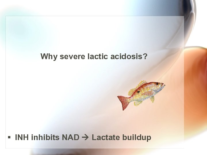 Why severe lactic acidosis? § INH inhibits NAD Lactate buildup 