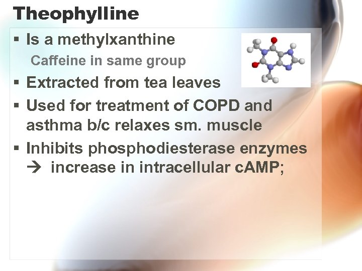 Theophylline § Is a methylxanthine Caffeine in same group § Extracted from tea leaves