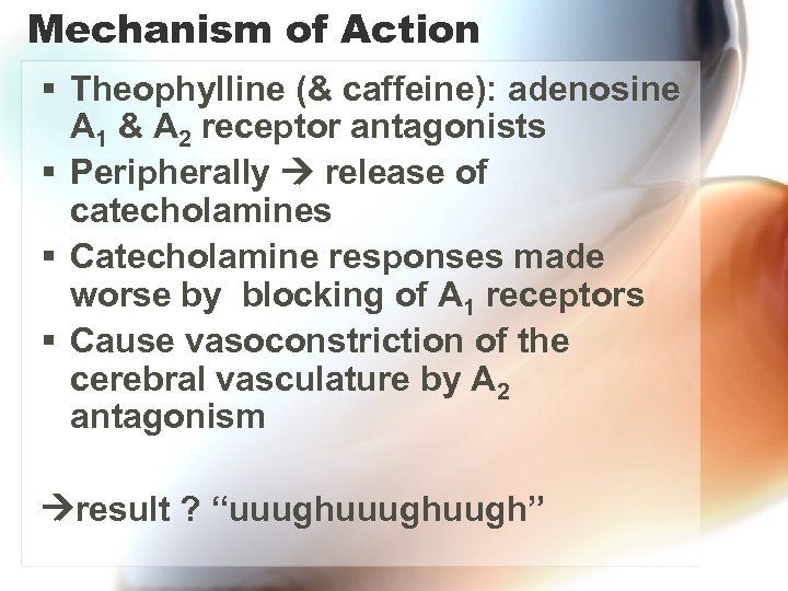 Mechanism of Action § Theophylline (& caffeine): adenosine A 1 & A 2 receptor