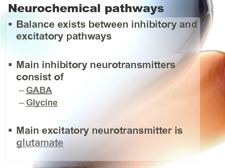 Neurochemical pathways § Balance exists between inhibitory and excitatory pathways § Main inhibitory neurotransmitters