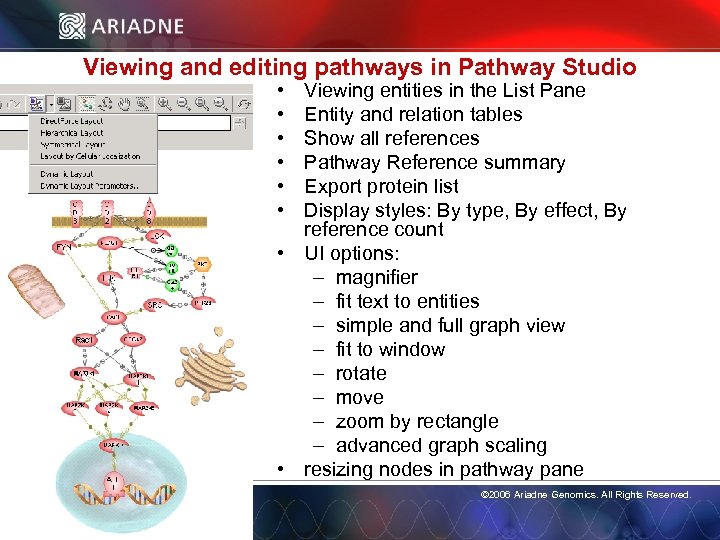 Viewing and editing pathways in Pathway Studio • • • Viewing entities in the