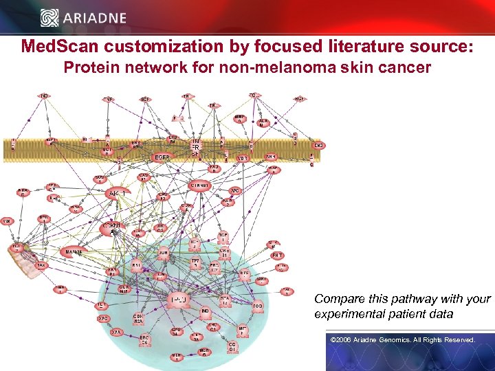 Med. Scan customization by focused literature source: Protein network for non-melanoma skin cancer Compare