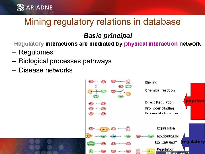 Mining regulatory relations in database Basic principal Regulatory interactions are mediated by physical interaction