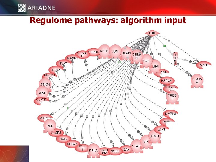 Regulome pathways: algorithm input © 2006 Ariadne Genomics. All Rights Reserved. 29 