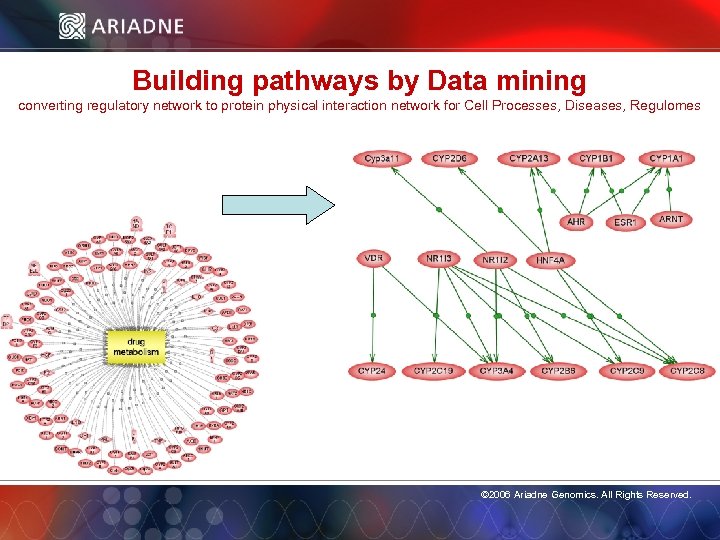 Building pathways by Data mining converting regulatory network to protein physical interaction network for