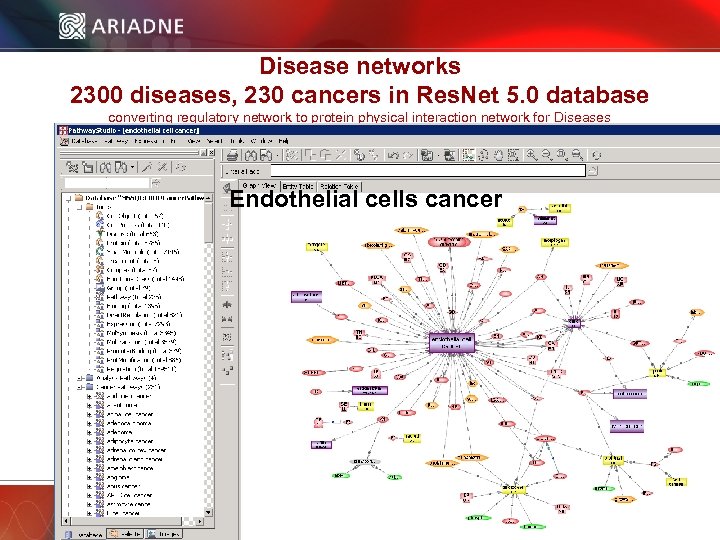 Disease networks 2300 diseases, 230 cancers in Res. Net 5. 0 database converting regulatory