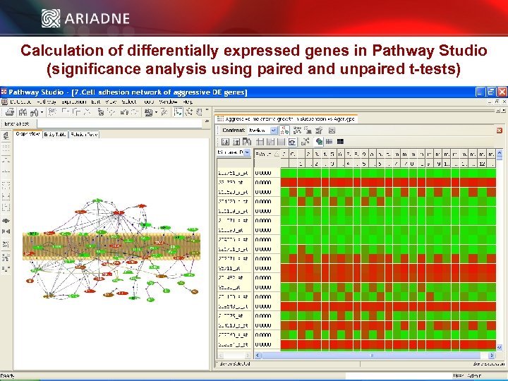 Calculation of differentially expressed genes in Pathway Studio (significance analysis using paired and unpaired