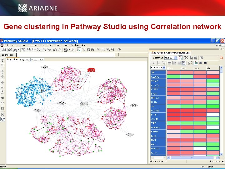 Gene clustering in Pathway Studio using Correlation network © 2006 Ariadne Genomics. All Rights