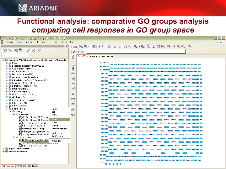 Functional analysis: comparative GO groups analysis comparing cell responses in GO group space ©