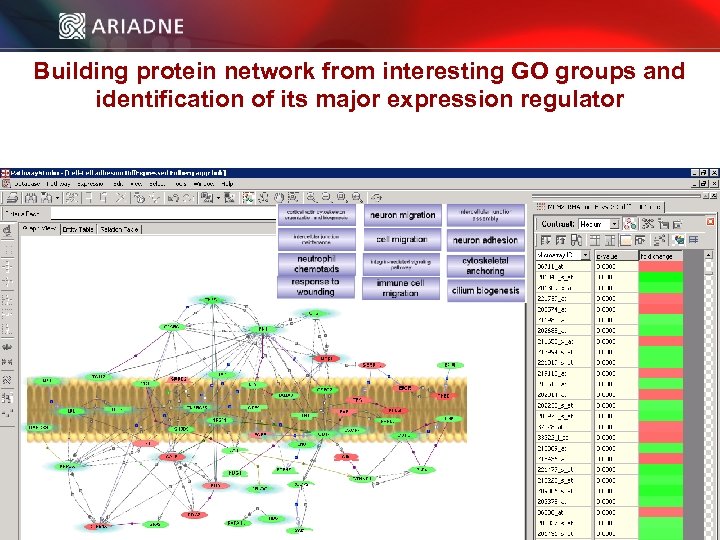 Building protein network from interesting GO groups and identification of its major expression regulator