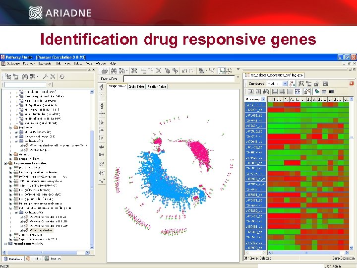 Identification drug responsive genes © 2006 Ariadne Genomics. All Rights Reserved. 43 