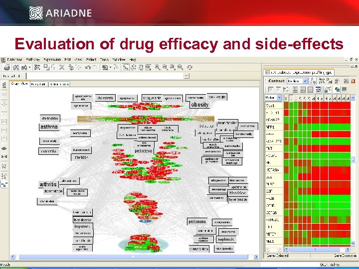 Evaluation of drug efficacy and side-effects © 2006 Ariadne Genomics. All Rights Reserved. 44