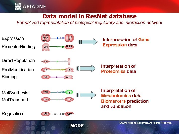 Data model in Res. Net database Formalized representation of biological regulatory and interaction network