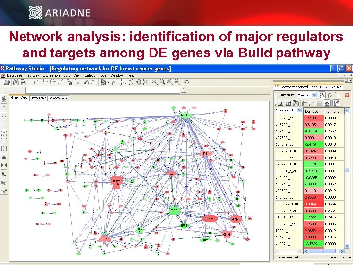 Network analysis: identification of major regulators and targets among DE genes via Build pathway