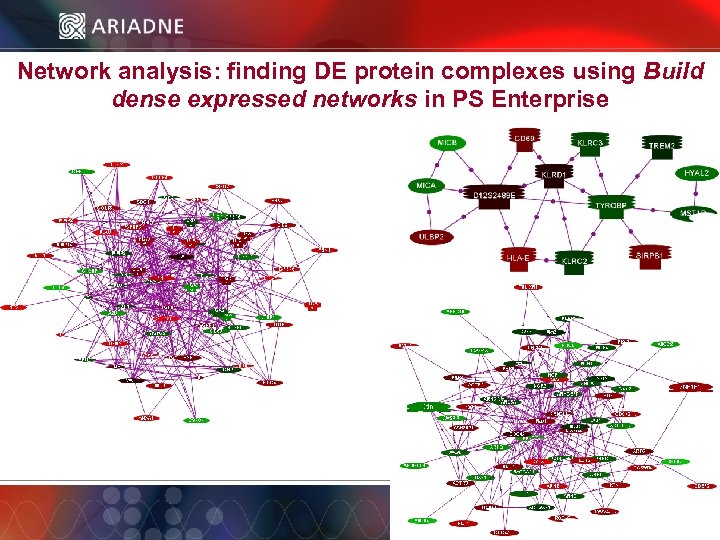 Network analysis: finding DE protein complexes using Build dense expressed networks in PS Enterprise