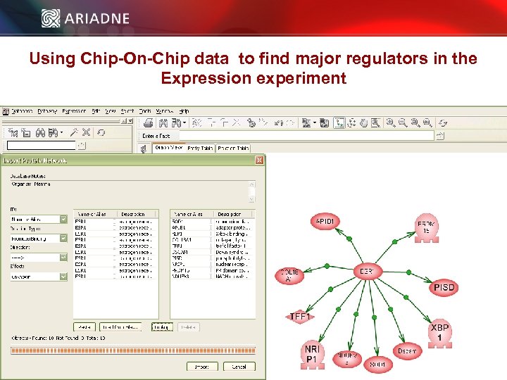 Using Chip-On-Chip data to find major regulators in the Expression experiment © 2006 Ariadne