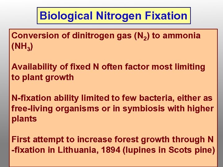Biological Nitrogen Fixation Conversion of dinitrogen gas (N 2) to ammonia (NH 3) Availability