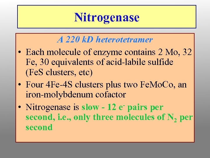 Nitrogenase A 220 k. D heterotetramer • Each molecule of enzyme contains 2 Mo,