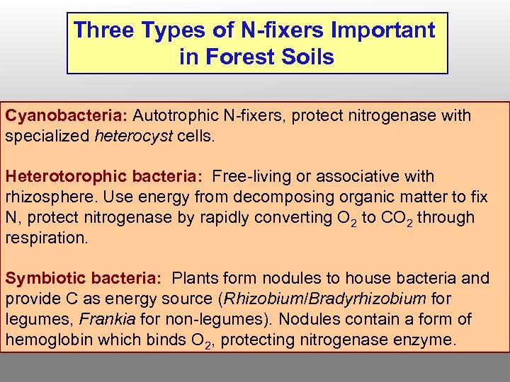 Three Types of N-fixers Important in Forest Soils Cyanobacteria: Autotrophic N-fixers, protect nitrogenase with