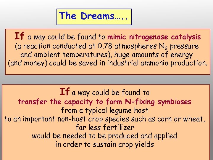 The Dreams…. . If a way could be found to mimic nitrogenase catalysis (a