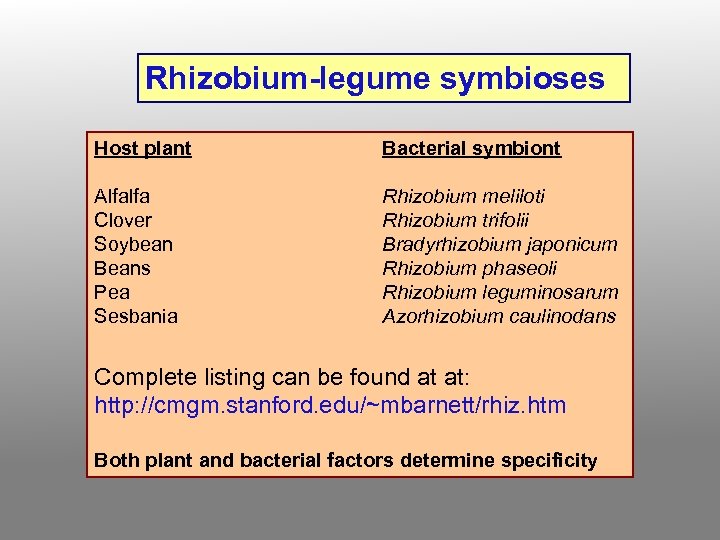 Rhizobium-legume symbioses Host plant Bacterial symbiont Alfalfa Clover Soybean Beans Pea Sesbania Rhizobium meliloti