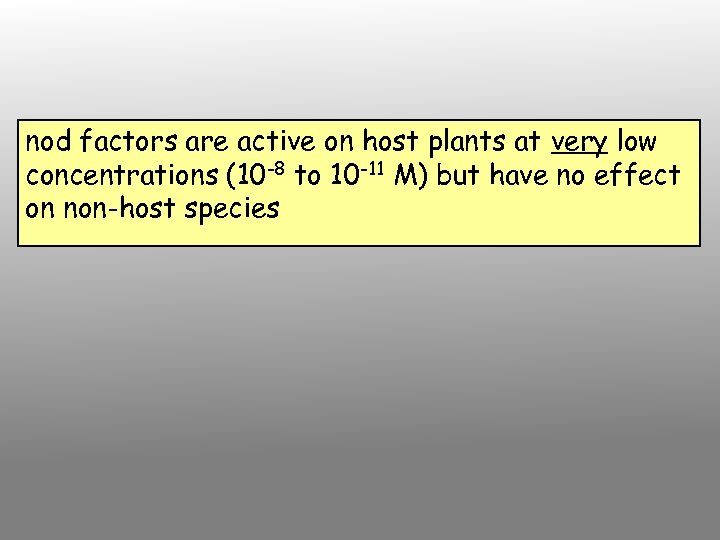 nod factors are active on host plants at very low concentrations (10 -8 to