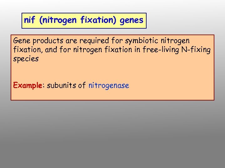 nif (nitrogen fixation) genes Gene products are required for symbiotic nitrogen fixation, and for