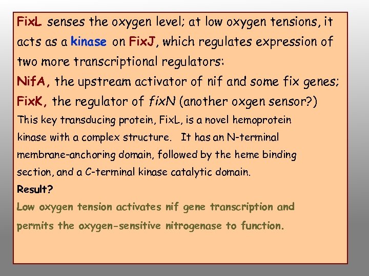 Fix. L senses the oxygen level; at low oxygen tensions, it acts as a