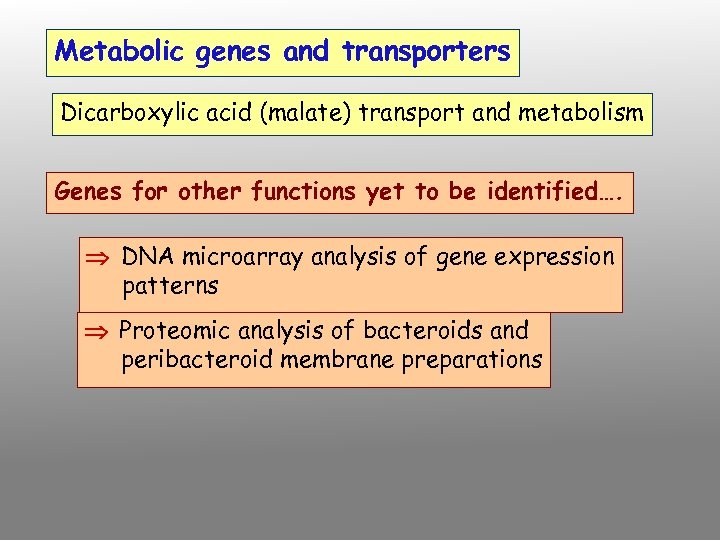 Metabolic genes and transporters Dicarboxylic acid (malate) transport and metabolism Genes for other functions