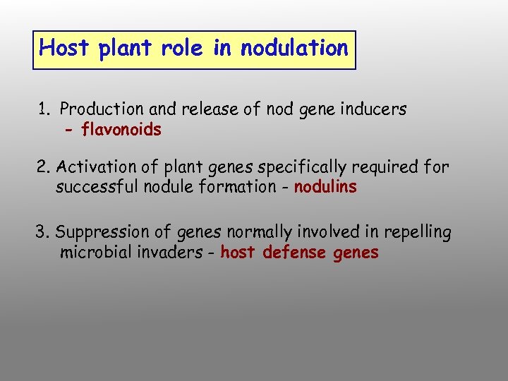 Host plant role in nodulation 1. Production and release of nod gene inducers -