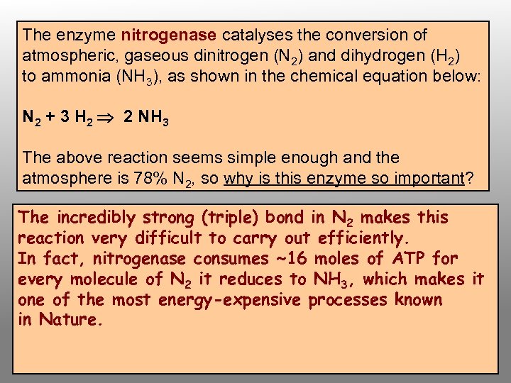 The enzyme nitrogenase catalyses the conversion of atmospheric, gaseous dinitrogen (N 2) and dihydrogen