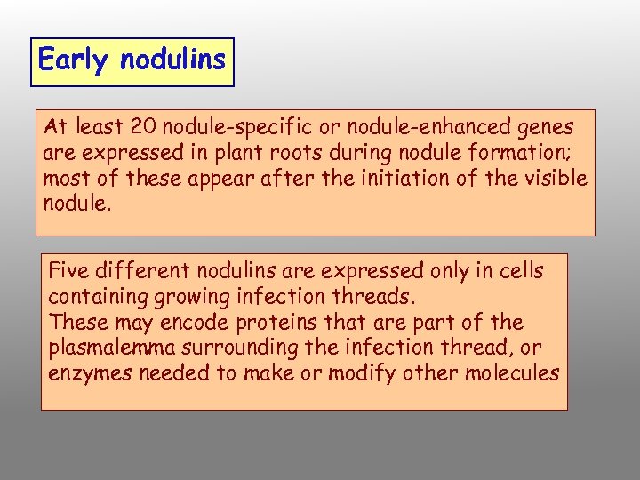 Early nodulins At least 20 nodule-specific or nodule-enhanced genes are expressed in plant roots