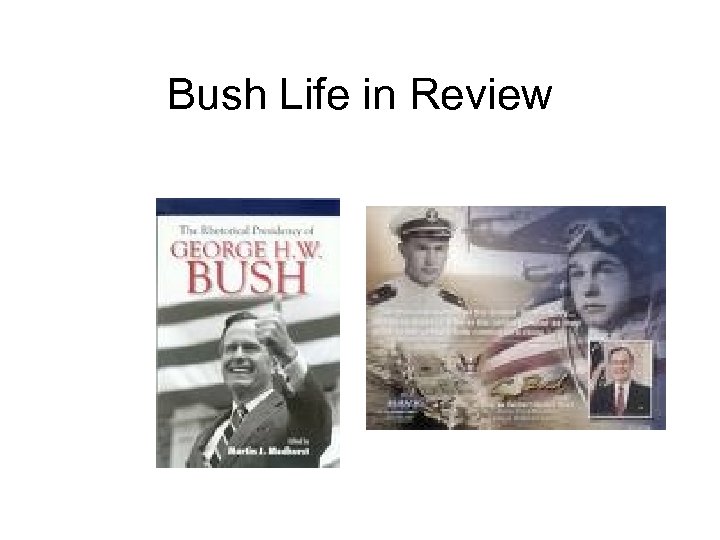 Bush Life in Review 