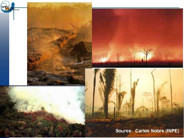 Fire. . . Source: Carlos Nobre (INPE) 