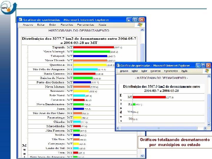 Gráficos totalizando desmatamento por municípios ou estado 