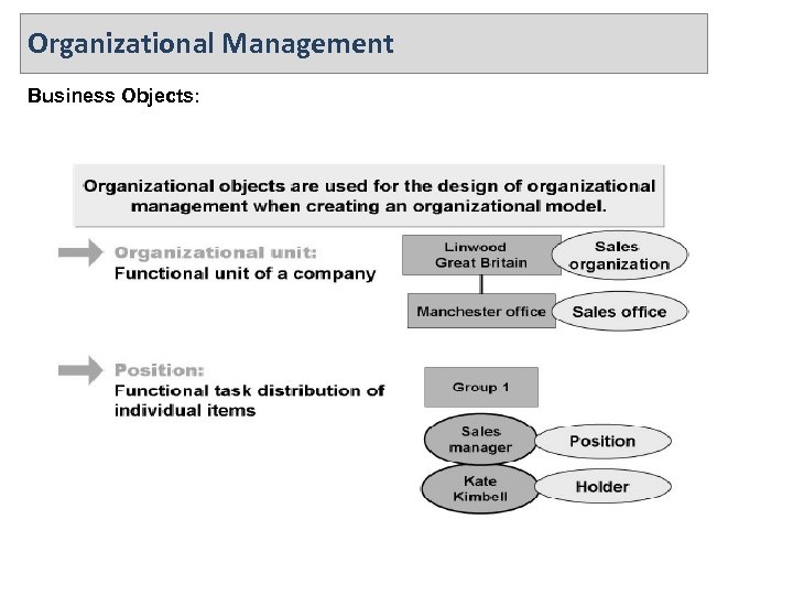 Organizational Management Business Objects: 