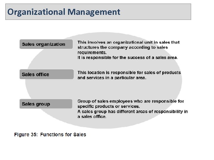 Organizational Management 