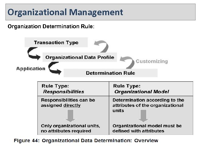 Organizational Management Organization Determination Rule: 