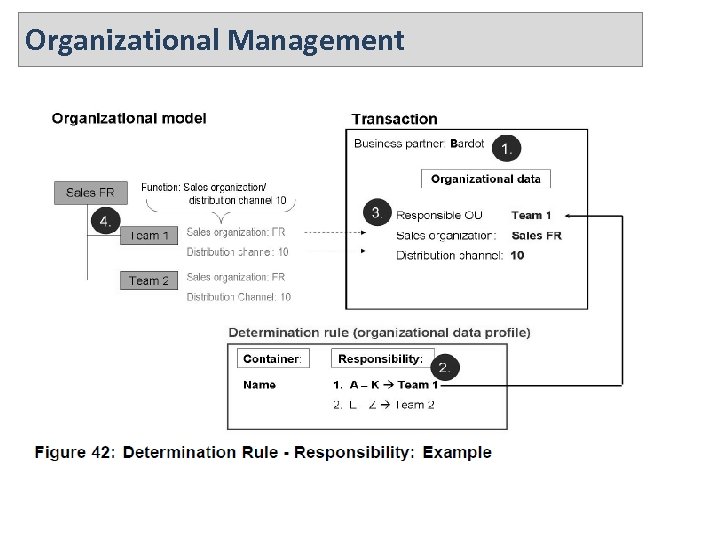 Organizational Management 