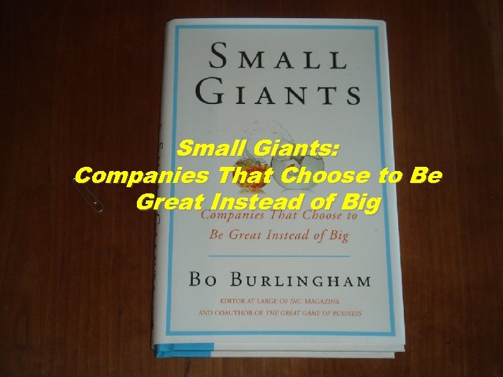 Small Giants: Companies That Choose to Be Great Instead of Big 