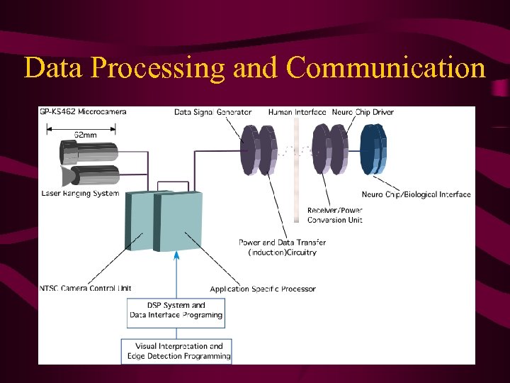 Data Processing and Communication 