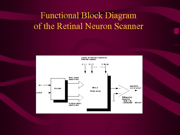 Functional Block Diagram of the Retinal Neuron Scanner 