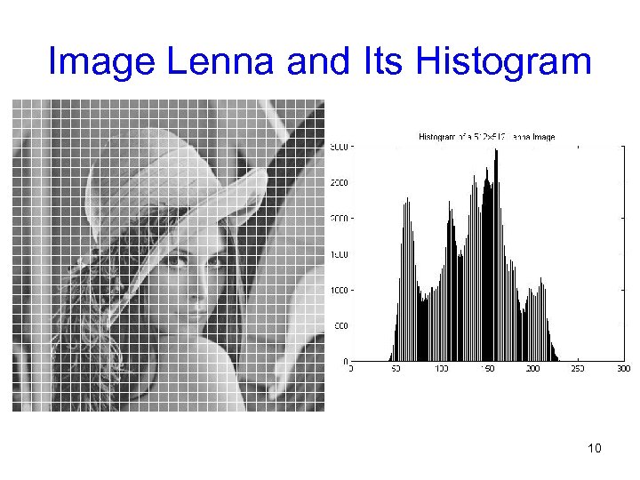 Image Lenna and Its Histogram 10 