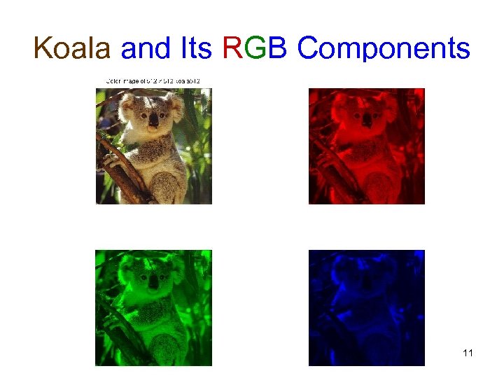 Koala and Its RGB Components 11 