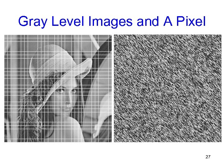 Gray Level Images and A Pixel 27 